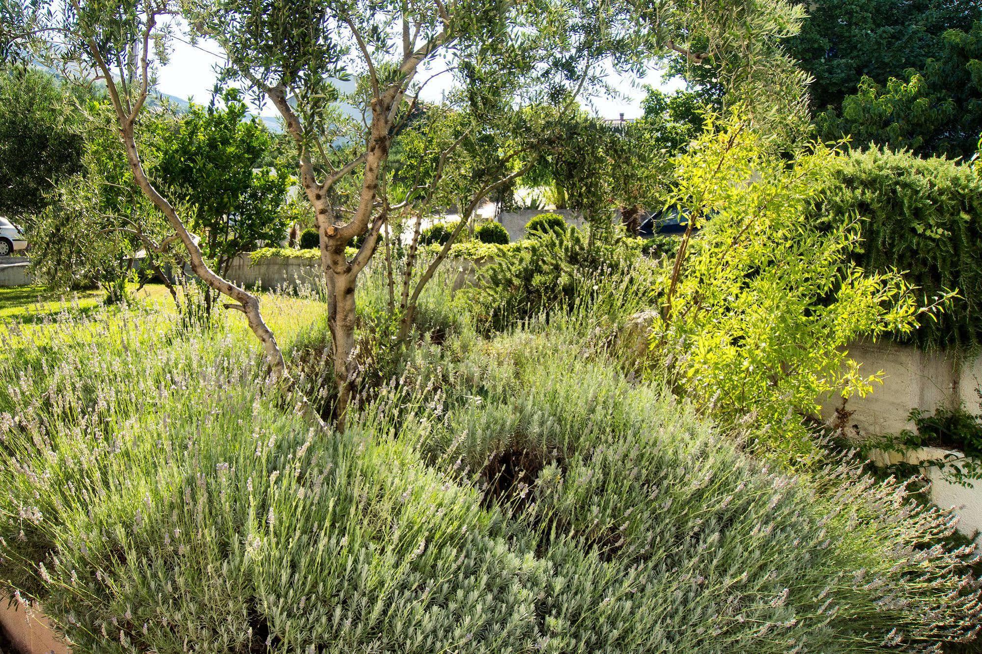 Villa Lavanda Podstrana Exterior foto